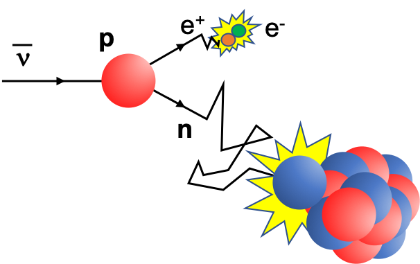 Inverse Beta Decay